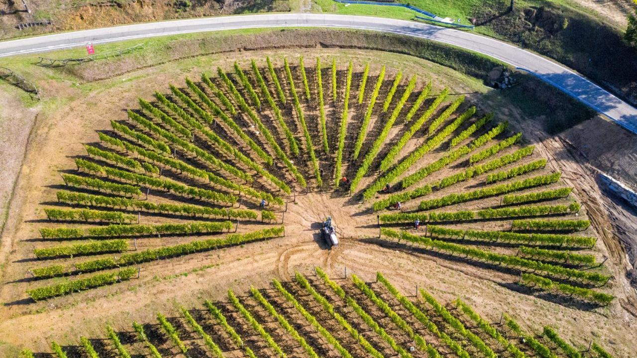 Вілла Cascina Bine Нові-Ліґуре Екстер'єр фото